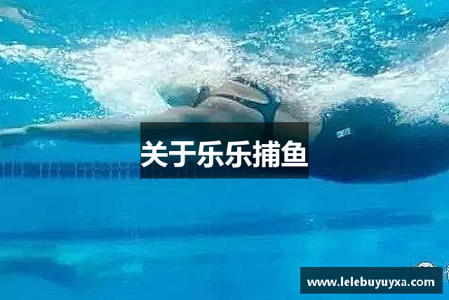 关于乐乐捕鱼